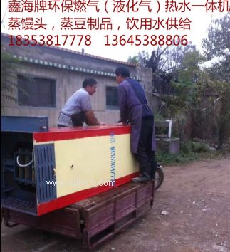 液化氣鍋爐、罐裝氣蒸饅頭鍋爐、